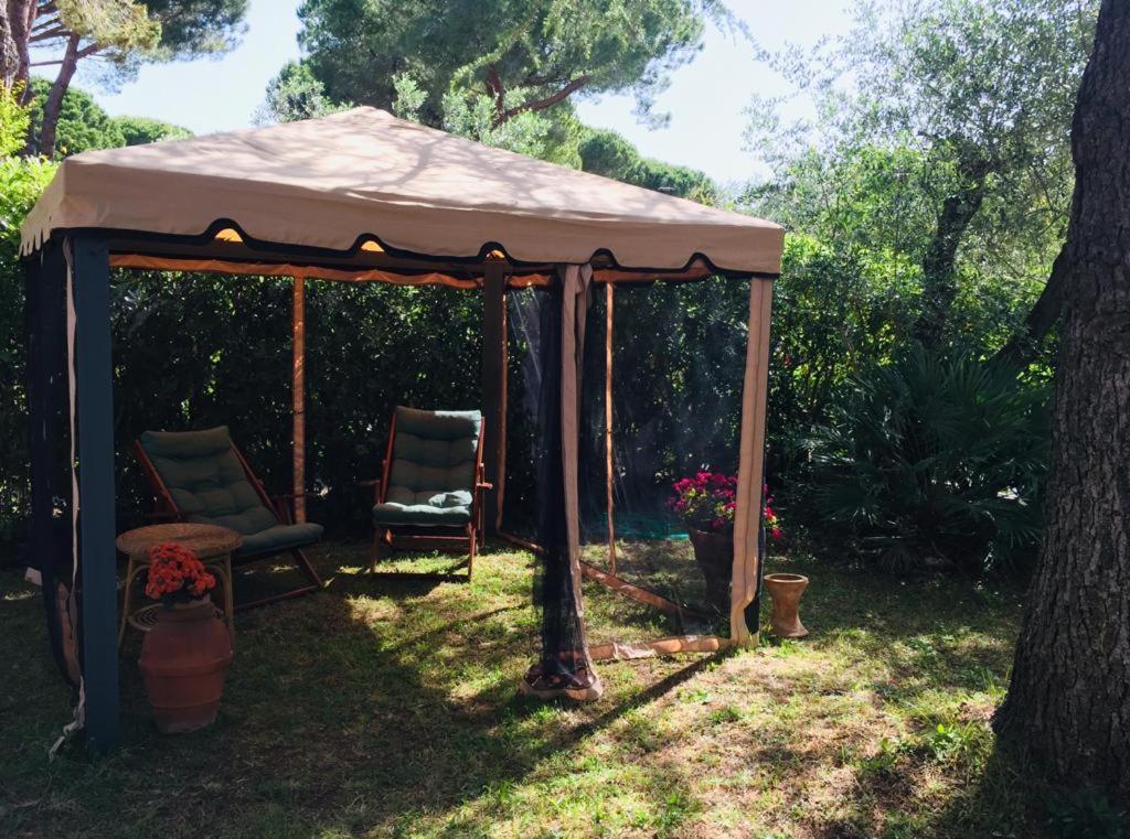 Ferienwohnung Cedro Del Libano Castiglioncello Exterior foto